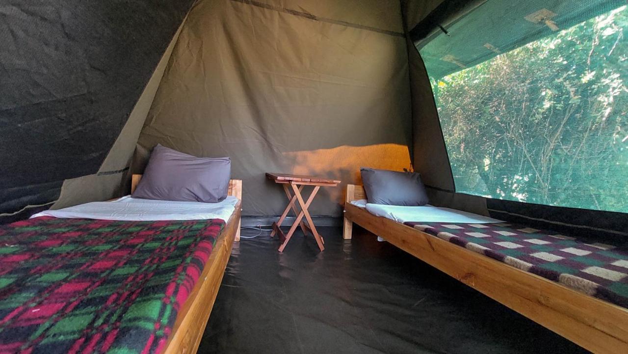 Greenwood Safari Camp Talek Экстерьер фото