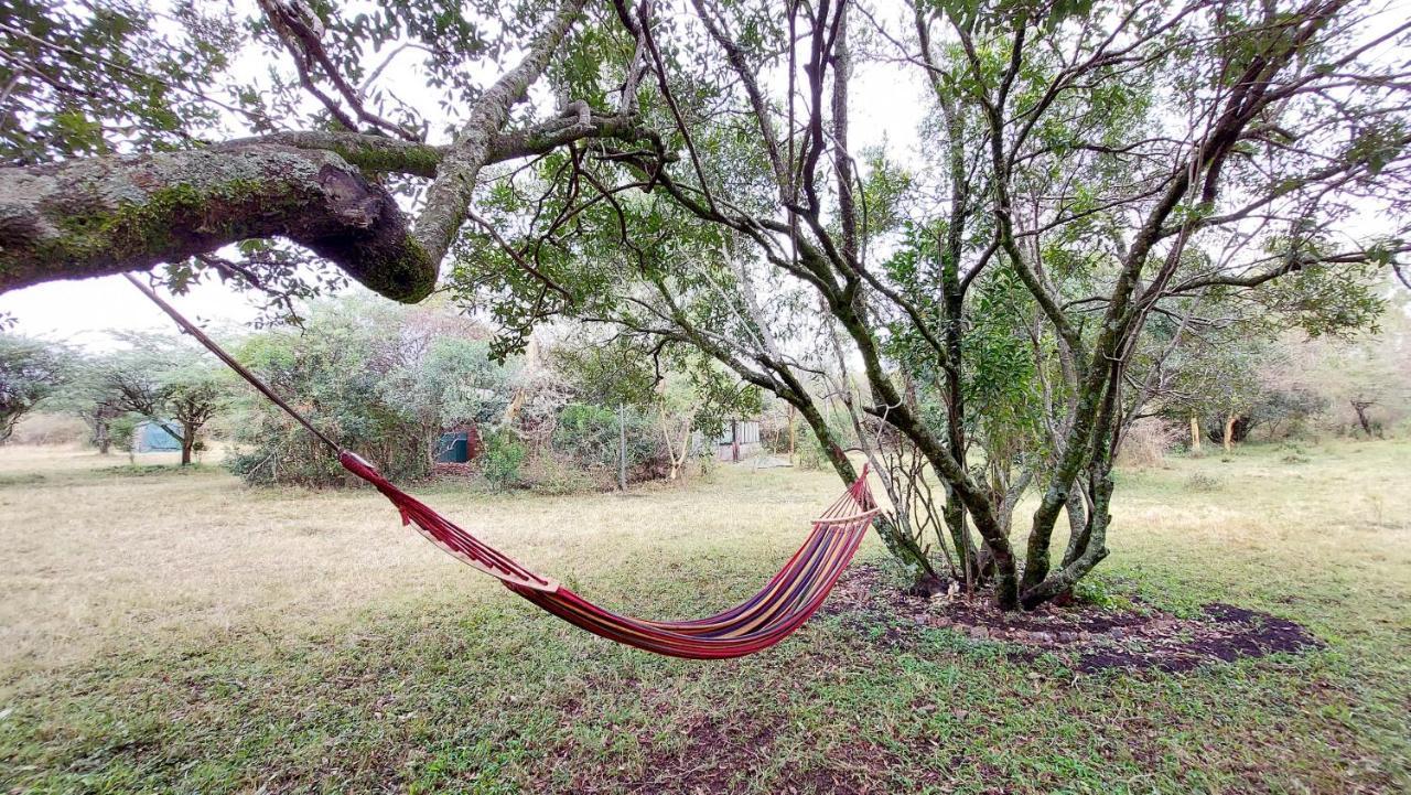Greenwood Safari Camp Talek Экстерьер фото